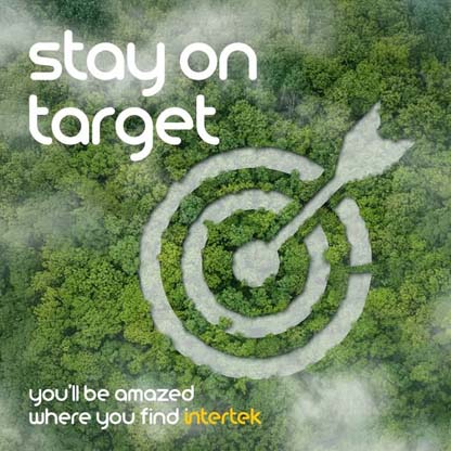 An arrow in a target icon depicted in a rain forest from above